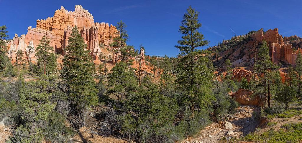 16635_02_10_2014_bryce_canyon_fairyland_loop_trail_overlook_trail_utah_autumn_red_rock_blue_sky_fall_color_colorful_tree_mountain_panoramic_landscape_photography_9_14936x7095.jpg