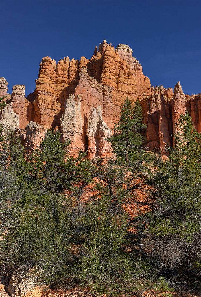 16637_02_10_2014_bryce_canyon_fairyland_loop_trail_overlook_trail_utah_autumn_red_rock_blue_sky_fall_color_colorful_tree_mountain_panoramic_landscape_photography_7_7409x10918.jpg