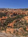 16614_02_10_2014_bryce_canyon_fairyland_loop_trail_overlook_trail_utah_autumn_red_rock_blue_sky_fall_color_colorful_tree_mountain_panoramic_landscape_photography_38_7384x9743