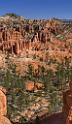 16616_02_10_2014_bryce_canyon_fairyland_loop_trail_overlook_trail_utah_autumn_red_rock_blue_sky_fall_color_colorful_tree_mountain_panoramic_landscape_photography_36_7016x12076