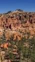 16618_02_10_2014_bryce_canyon_fairyland_loop_trail_overlook_trail_utah_autumn_red_rock_blue_sky_fall_color_colorful_tree_mountain_panoramic_landscape_photography_34_7231x12796