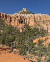 16622_02_10_2014_bryce_canyon_fairyland_loop_trail_overlook_trail_utah_autumn_red_rock_blue_sky_fall_color_colorful_tree_mountain_panoramic_landscape_photography_30_7422x9235