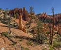 16628_02_10_2014_bryce_canyon_fairyland_loop_trail_overlook_trail_utah_autumn_red_rock_blue_sky_fall_color_colorful_tree_mountain_panoramic_landscape_photography_16_7559x6140