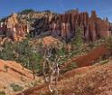 16632_02_10_2014_bryce_canyon_fairyland_loop_trail_overlook_trail_utah_autumn_red_rock_blue_sky_fall_color_colorful_tree_mountain_panoramic_landscape_photography_12_11070x9398