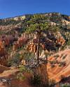 16638_02_10_2014_bryce_canyon_fairyland_loop_trail_overlook_trail_utah_autumn_red_rock_blue_sky_fall_color_colorful_tree_mountain_panoramic_landscape_photography_6_7345x9148
