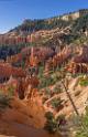 16639_02_10_2014_bryce_canyon_fairyland_loop_trail_overlook_trail_utah_autumn_red_rock_blue_sky_fall_color_colorful_tree_mountain_panoramic_landscape_photography_4_7355x11351