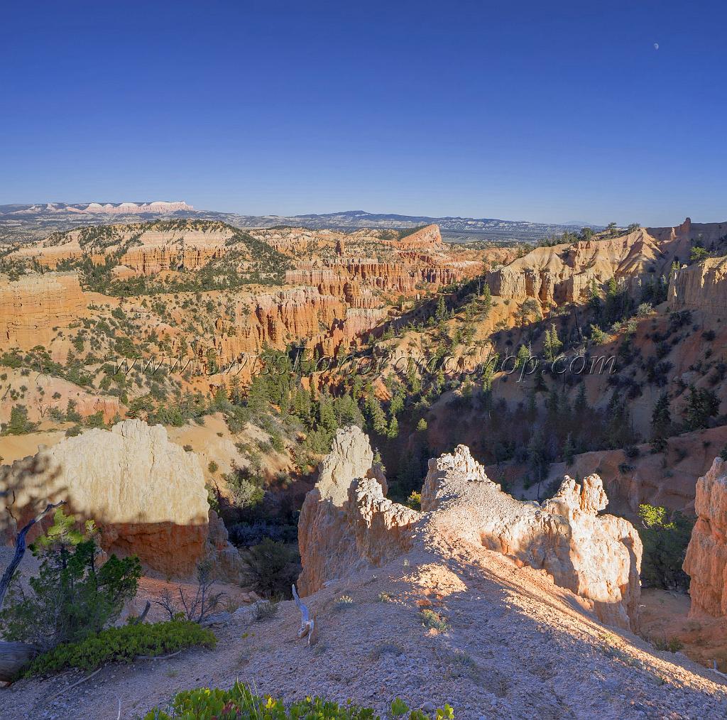 16585_02_10_2014_bryce_canyon_fairyland_point_overlook_trail_utah_autumn_red_rock_blue_sky_fall_color_colorful_tree_mountain_forest_panoramic_landscape_photography_81_7312x7241.jpg