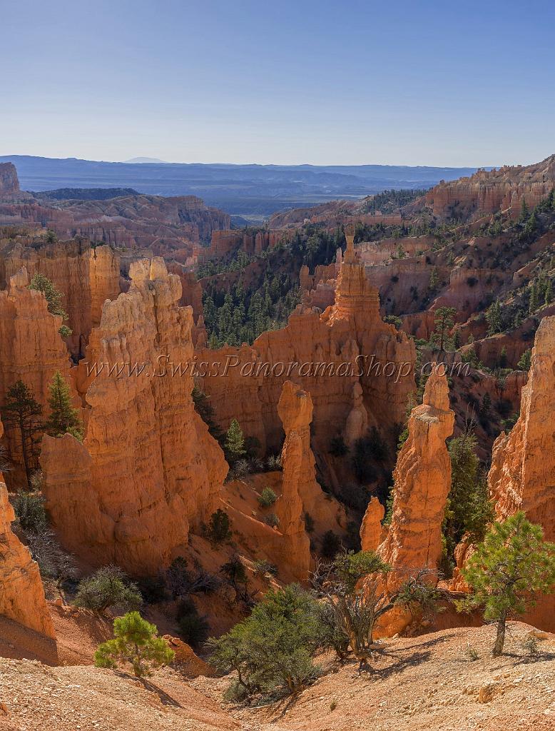 16641_02_10_2014_bryce_canyon_fairyland_point_overlook_trail_utah_autumn_red_rock_blue_sky_fall_color_colorful_tree_mountain_forest_panoramic_landscape_photography_2_7325x9636.jpg