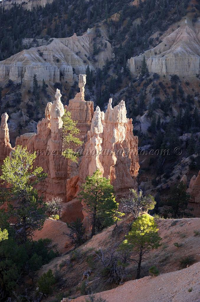 8800_10_10_2010_bryce_canyon_national_park_utah_fairyland_point_rim_trail_sunset_scenic_outlook_viewpoint_panoramic_landscape_photography_panorama_landschaft_62_4236x6399.jpg
