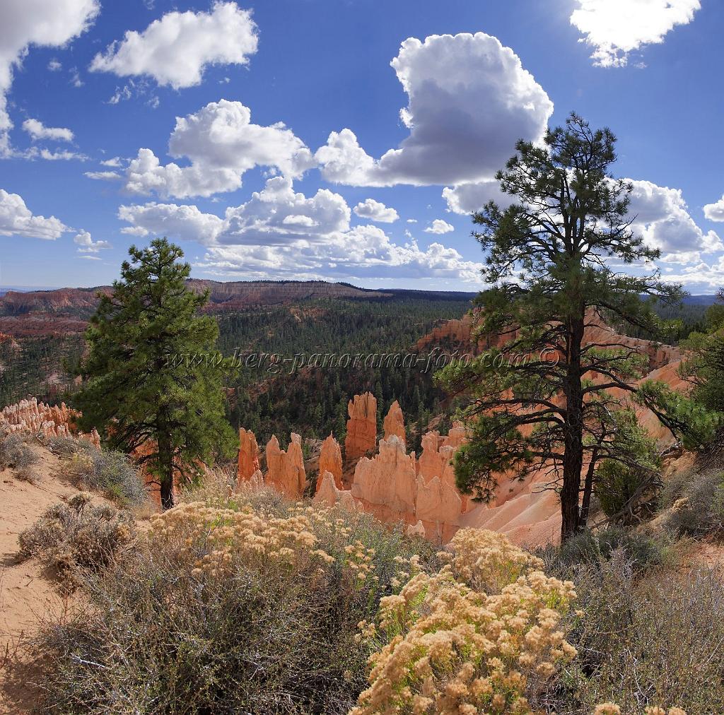 8928_11_10_2010_bryce_canyon_national_park_utah_fairyland_point_rim_trail_panoramic_landscape_outlook_viewpoint_photography_panorama_landschaft_100_5736x5669