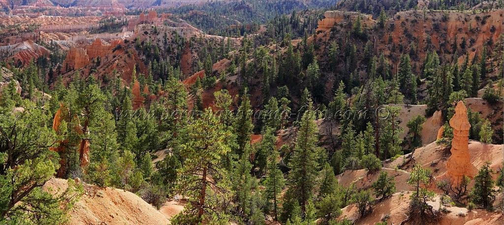 8939_11_10_2010_bryce_canyon_national_park_utah_fairyland_point_rim_trail_panoramic_landscape_outlook_viewpoint_photography_panorama_landschaft_111_8934x3987.jpg