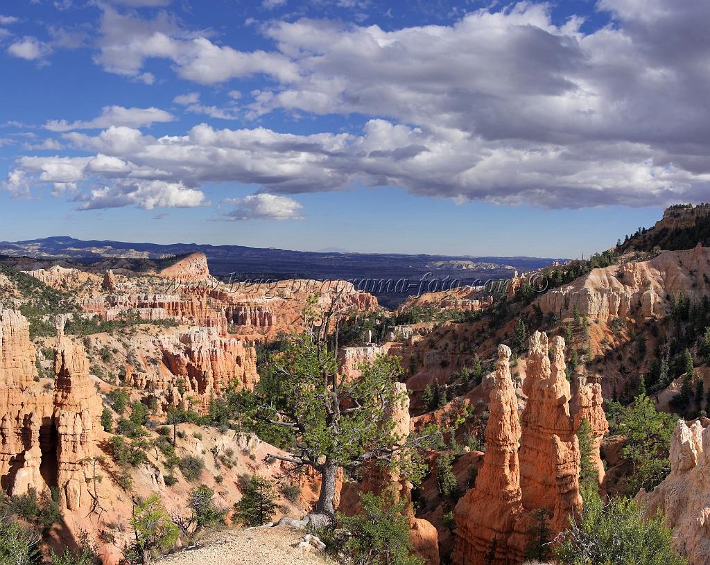 8943_11_10_2010_bryce_canyon_national_park_utah_fairyland_point_rim_trail_panoramic_landscape_outlook_viewpoint_photography_panorama_landschaft_115_6274x4992.jpg