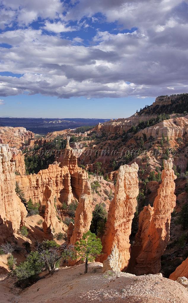 8945_11_10_2010_bryce_canyon_national_park_utah_fairyland_point_rim_trail_panoramic_landscape_outlook_viewpoint_photography_panorama_landschaft_117_4369x7052.jpg