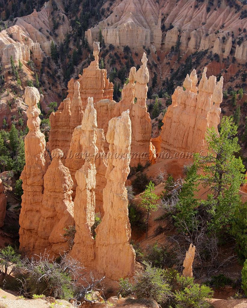 8949_11_10_2010_bryce_canyon_national_park_utah_fairyland_point_rim_trail_panoramic_landscape_outlook_viewpoint_photography_panorama_landschaft_121_4120x5126.jpg