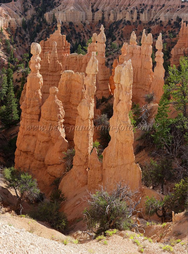 8950_11_10_2010_bryce_canyon_national_park_utah_fairyland_point_rim_trail_panoramic_landscape_outlook_viewpoint_photography_panorama_landschaft_122_6529x8798.jpg