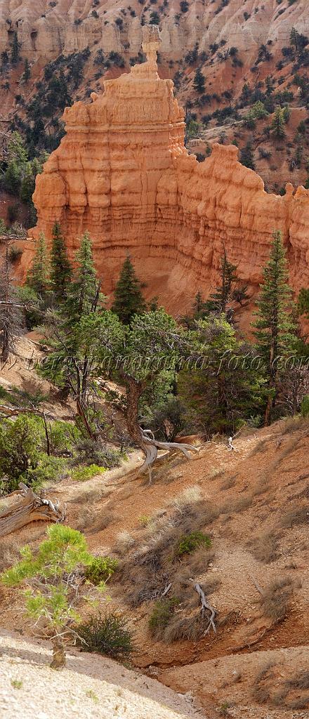 8957_11_10_2010_bryce_canyon_national_park_utah_fairyland_point_rim_trail_panoramic_landscape_outlook_viewpoint_photography_panorama_landschaft_129_4284x9951.jpg
