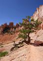 8870_11_10_2010_bryce_canyon_national_park_utah_fairyland_loop_trail_campbell_panoramic_landscape_photography_panorama_landschaft_61_4138x5901