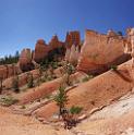 8871_11_10_2010_bryce_canyon_national_park_utah_fairyland_loop_trail_campbell_panoramic_landscape_photography_panorama_landschaft_62_6757x6792