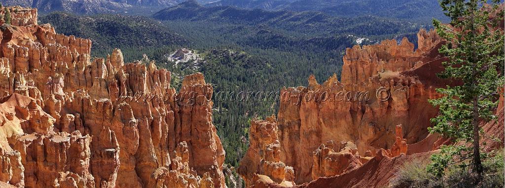 8829_10_10_2010_bryce_canyon_national_park_utah_ponderosa_canyon_rim_trail_red_rock_scenic_outlook_sky_cloud_panoramic_landscape_photography_panorama_landschaft_17_11092x4151.jpg