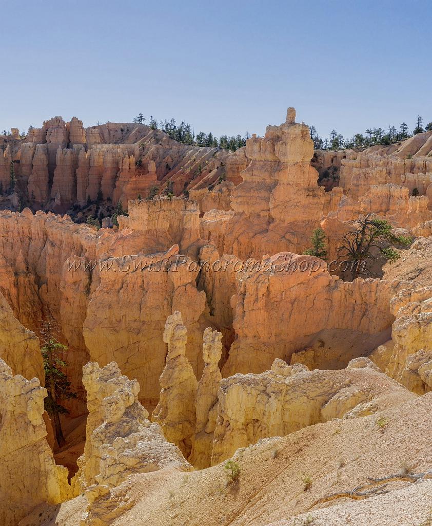 16589_02_10_2014_bryce_canyon_rim_trail_overlook_trail_utah_autumn_red_rock_blue_sky_fall_color_colorful_tree_mountain_forest_panoramic_landscape_photography_92_7317x8895.jpg