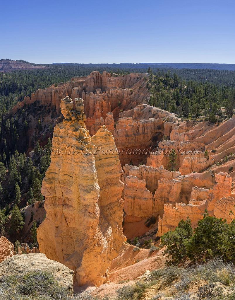 16590_02_10_2014_bryce_canyon_rim_trail_overlook_trail_utah_autumn_red_rock_blue_sky_fall_color_colorful_tree_mountain_forest_panoramic_landscape_photography_76_6847x8736.jpg
