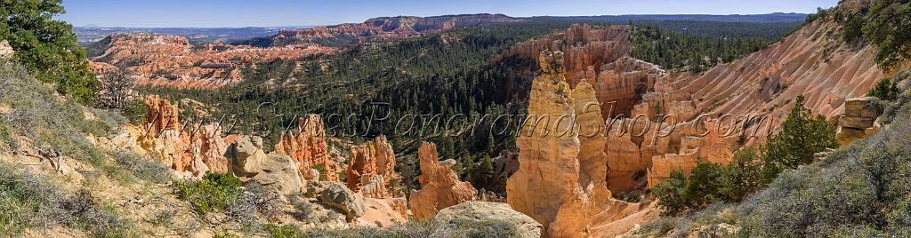 16591_02_10_2014_bryce_canyon_rim_trail_overlook_trail_utah_autumn_red_rock_blue_sky_fall_color_colorful_tree_mountain_forest_panoramic_landscape_photography_75_26108x6813.jpg