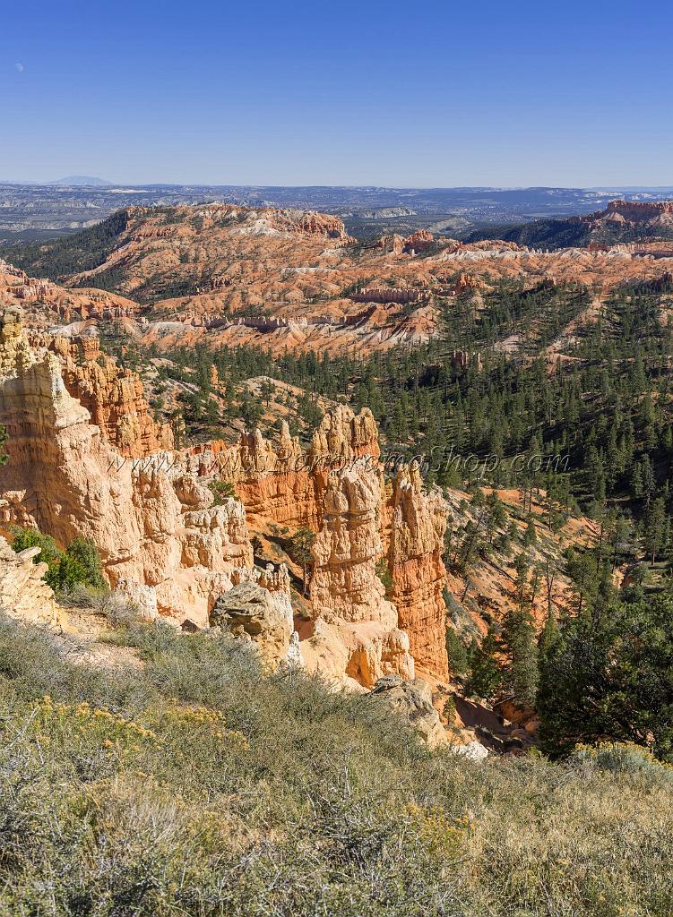 16592_02_10_2014_bryce_canyon_rim_trail_overlook_trail_utah_autumn_red_rock_blue_sky_fall_color_colorful_tree_mountain_forest_panoramic_landscape_photography_74_7099x9678.jpg