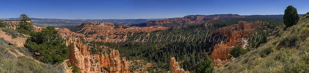 16594_02_10_2014_bryce_canyon_rim_trail_overlook_trail_utah_autumn_red_rock_blue_sky_fall_color_colorful_tree_mountain_forest_panoramic_landscape_photography_72_29719x7017.jpg