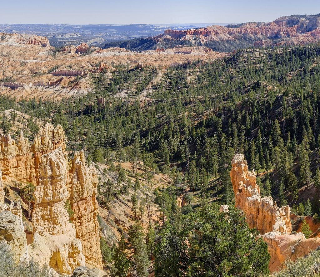 16595_02_10_2014_bryce_canyon_rim_trail_overlook_trail_utah_autumn_red_rock_blue_sky_fall_color_colorful_tree_mountain_forest_panoramic_landscape_photography_71_9703x8417.jpg