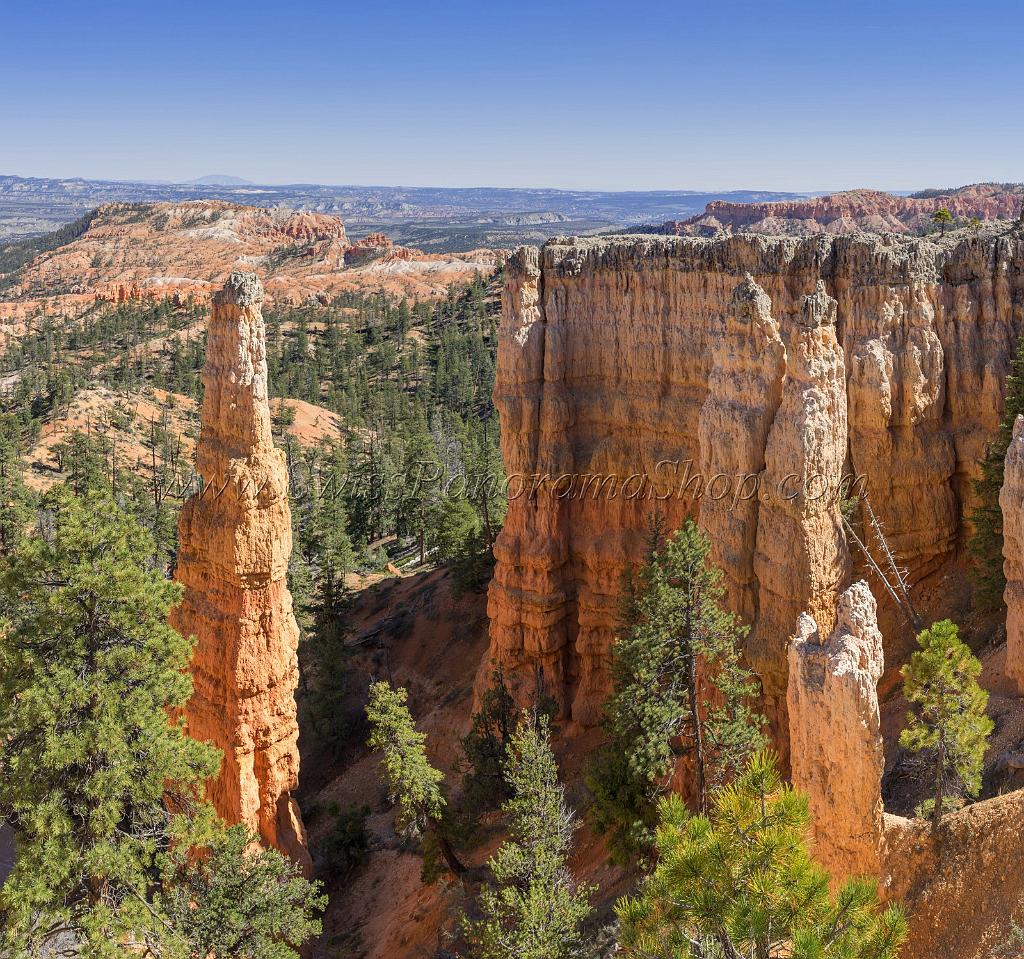 16598_02_10_2014_bryce_canyon_rim_trail_overlook_trail_utah_autumn_red_rock_blue_sky_fall_color_colorful_tree_mountain_forest_panoramic_landscape_photography_60_11279x10567.jpg