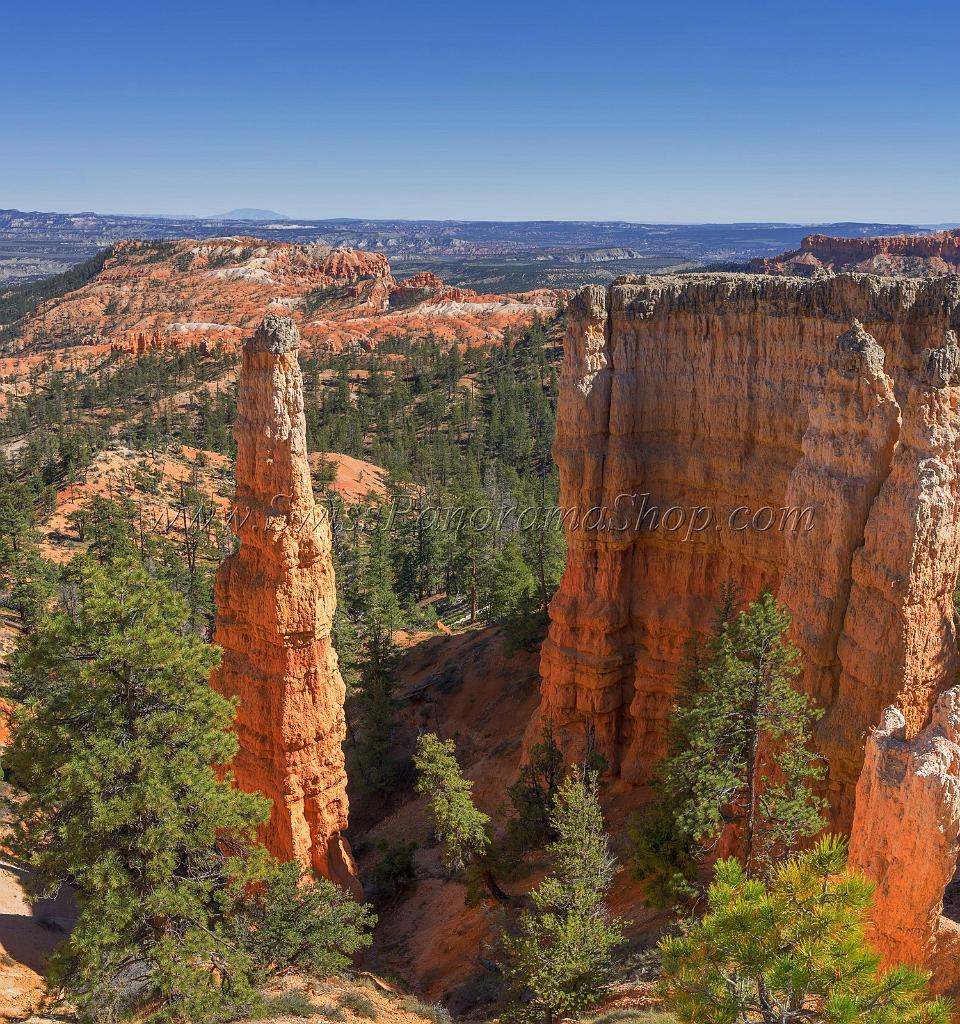 16599_02_10_2014_bryce_canyon_rim_trail_overlook_trail_utah_autumn_red_rock_blue_sky_fall_color_colorful_tree_mountain_forest_panoramic_landscape_photography_59_7398x7890.jpg
