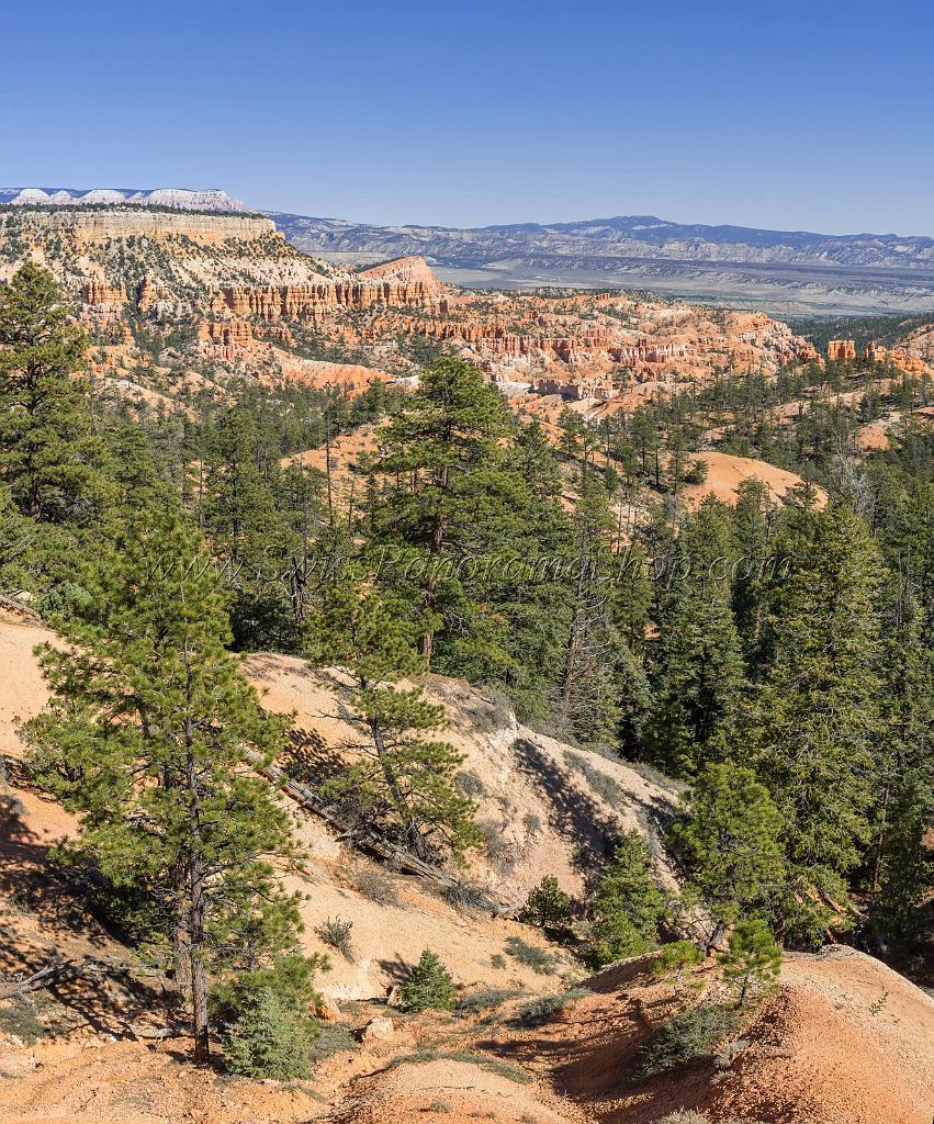 16600_02_10_2014_bryce_canyon_rim_trail_overlook_trail_utah_autumn_red_rock_blue_sky_fall_color_colorful_tree_mountain_forest_panoramic_landscape_photography_58_7405x8905.jpg