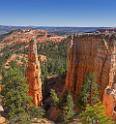 16599_02_10_2014_bryce_canyon_rim_trail_overlook_trail_utah_autumn_red_rock_blue_sky_fall_color_colorful_tree_mountain_forest_panoramic_landscape_photography_59_7398x7890