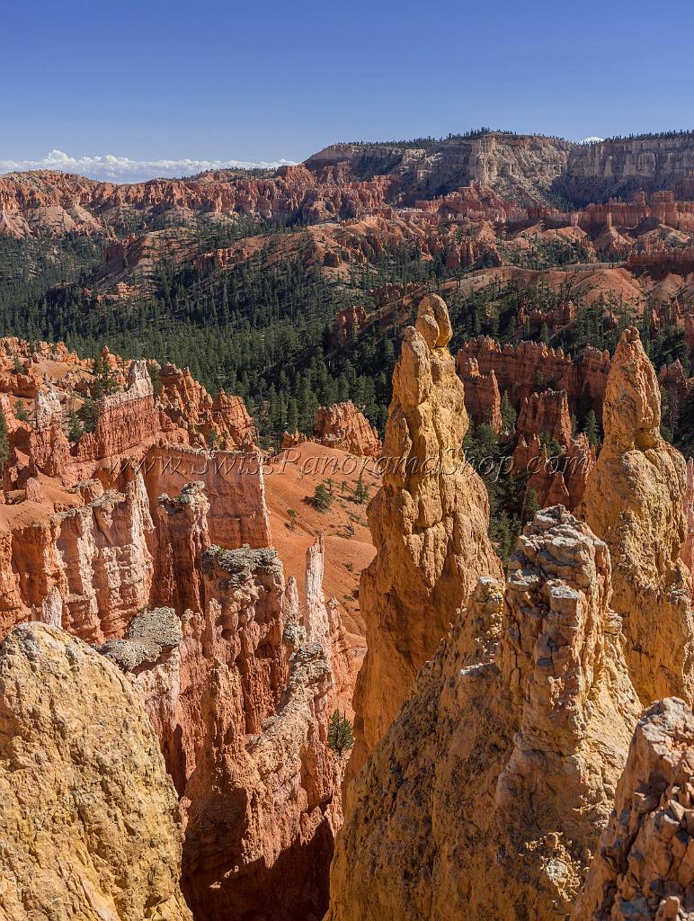 16663_01_10_2014_bryce_canyon_sunrise_point_overlook_trail_utah_autumn_red_rock_blue_sky_fall_color_colorful_tree_mountain_forest_panoramic_landscape_photography_61_7068x9372.jpg