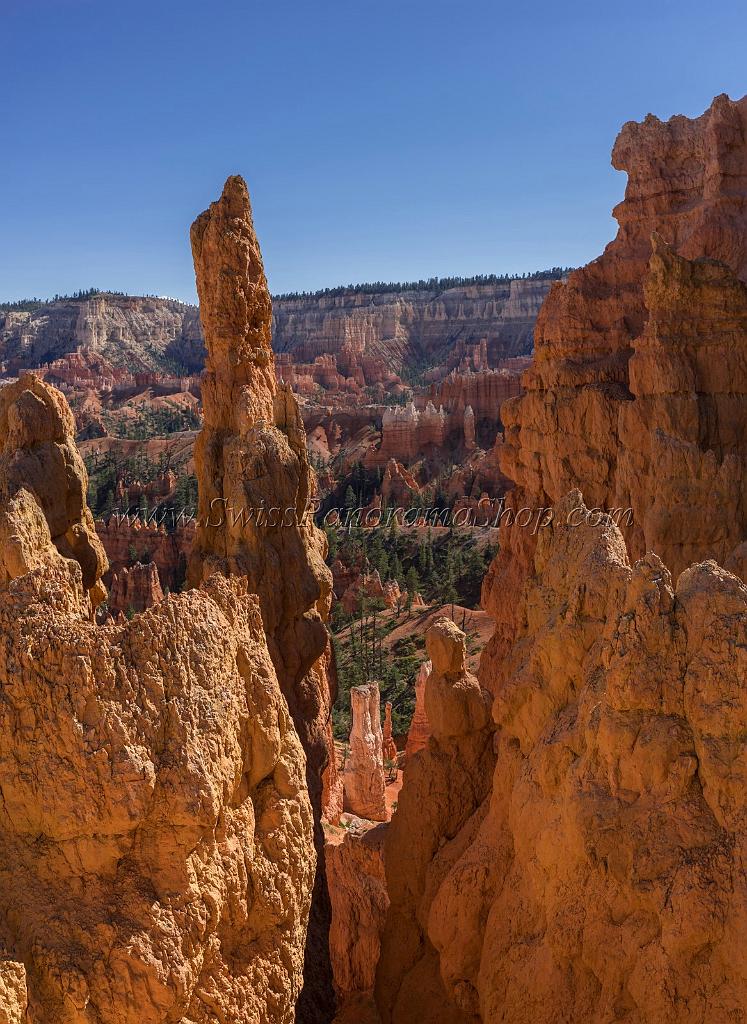 16664_01_10_2014_bryce_canyon_sunrise_point_overlook_trail_utah_autumn_red_rock_blue_sky_fall_color_colorful_tree_mountain_forest_panoramic_landscape_photography_60_7048x9660.jpg