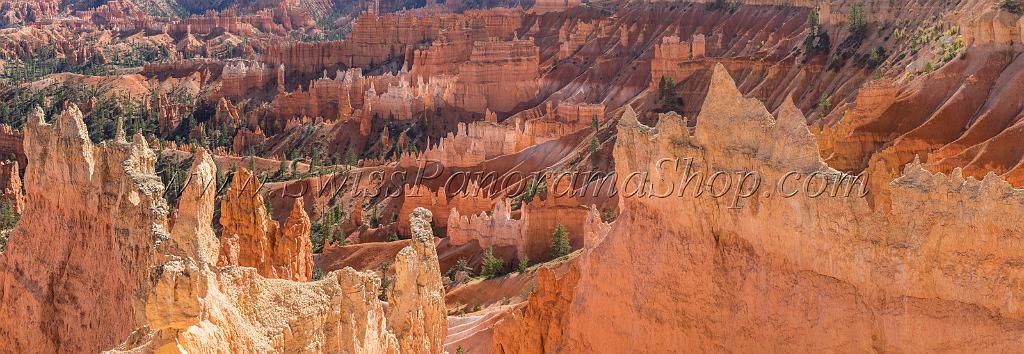16667_01_10_2014_bryce_canyon_sunrise_point_overlook_trail_utah_autumn_red_rock_blue_sky_fall_color_colorful_tree_mountain_forest_panoramic_landscape_photography_56_20783x7177.jpg