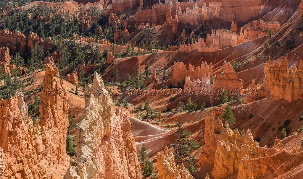 16669_01_10_2014_bryce_canyon_sunrise_point_overlook_trail_utah_autumn_red_rock_blue_sky_fall_color_colorful_tree_mountain_forest_panoramic_landscape_photography_54_11922x7055.jpg