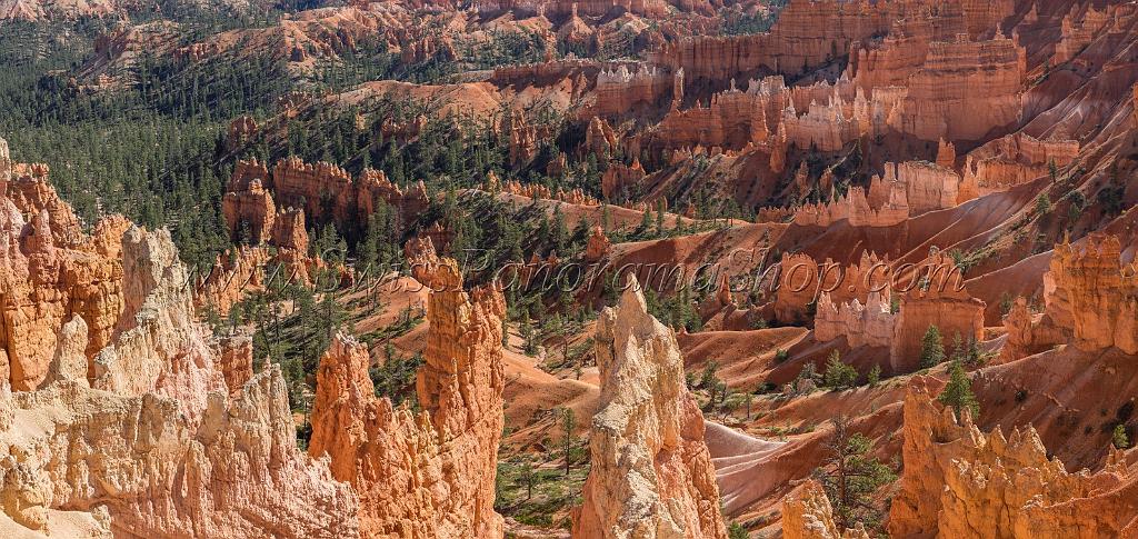 16670_01_10_2014_bryce_canyon_sunrise_point_overlook_trail_utah_autumn_red_rock_blue_sky_fall_color_colorful_tree_mountain_forest_panoramic_landscape_photography_53_14878x7053.jpg