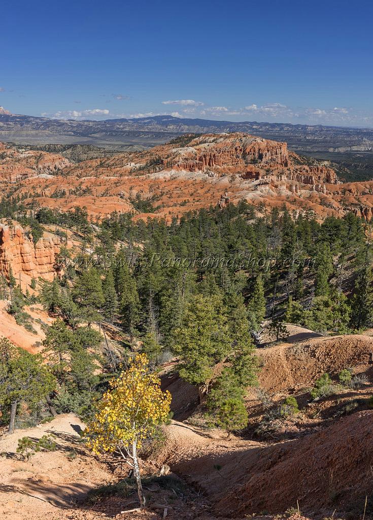 16673_01_10_2014_bryce_canyon_sunrise_point_overlook_trail_utah_autumn_red_rock_blue_sky_fall_color_colorful_tree_mountain_forest_panoramic_landscape_photography_50_6935x9659.jpg