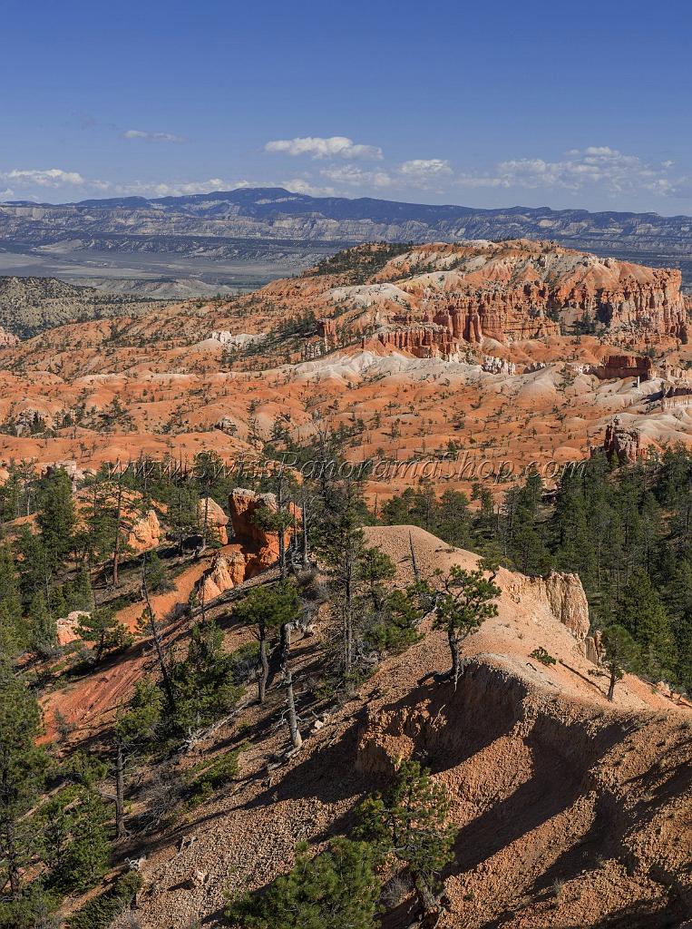 16674_01_10_2014_bryce_canyon_sunrise_point_overlook_trail_utah_autumn_red_rock_blue_sky_fall_color_colorful_tree_mountain_forest_panoramic_landscape_photography_49_6704x8998.jpg