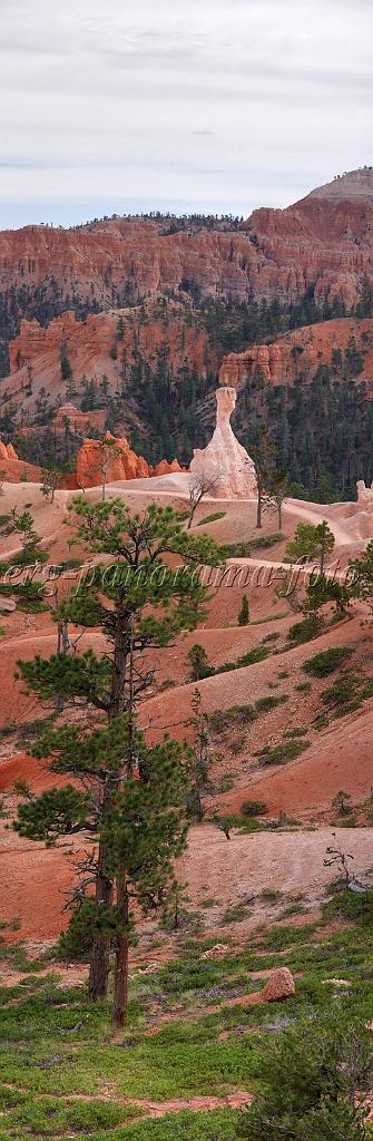 8687_09_10_2010_bryce_canyon_national_park_utah_sunrise_point_navajo_loop_trail_red_rock_scenic_outlook_sky_cloud_panoramic_landscape_photography_panorama_landschaft_84_4048x12367.jpg