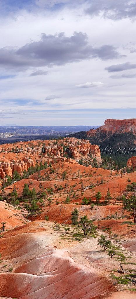 8688_09_10_2010_bryce_canyon_national_park_utah_sunrise_point_navajo_loop_trail_red_rock_scenic_outlook_sky_cloud_panoramic_landscape_photography_panorama_landschaft_85_4224x9279.jpg