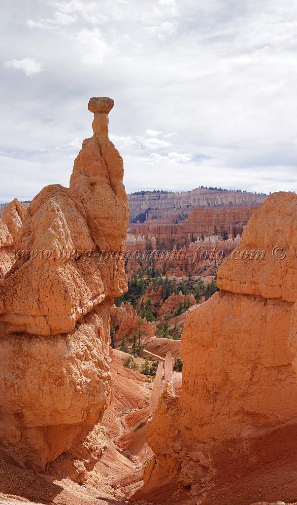 8691_09_10_2010_bryce_canyon_national_park_utah_sunrise_point_navajo_loop_trail_red_rock_scenic_outlook_sky_cloud_panoramic_landscape_photography_panorama_landschaft_88_4364x7407.jpg
