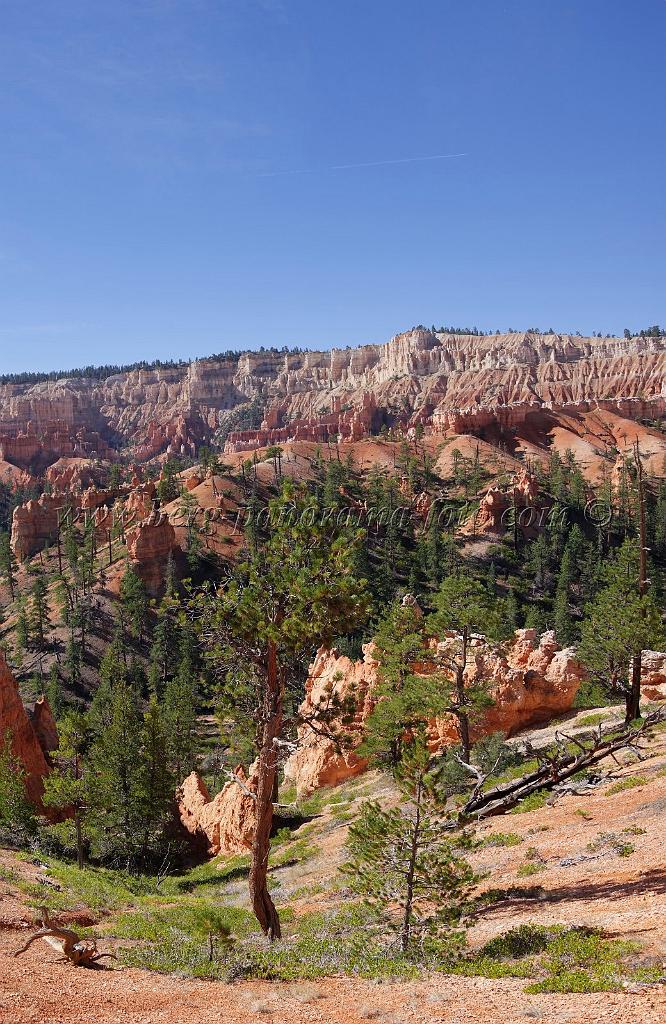 8698_09_10_2010_bryce_canyon_national_park_utah_sunrise_point_queens_garden_trail_red_rock_scenic_outlook_sky_cloud_panoramic_landscape_photography_panorama_landschaft_27_4308x6623.jpg
