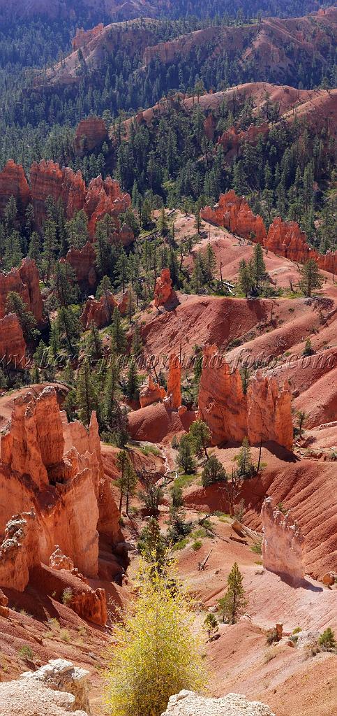 8704_09_10_2010_bryce_canyon_national_park_utah_sunrise_point_rim_trail_red_rock_scenic_outlook_sky_cloud_panoramic_landscape_photography_panorama_landschaft_8_4124x8731.jpg
