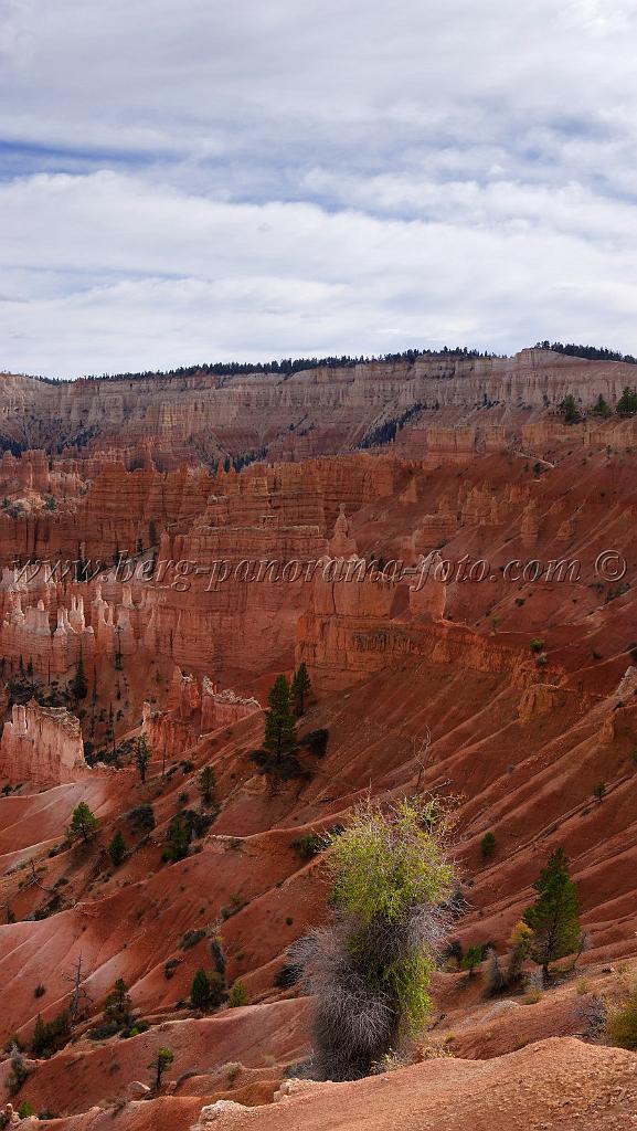 8728_09_10_2010_bryce_canyon_national_park_utah_sunrise_point_rim_trail_red_rock_scenic_outlook_sky_cloud_panoramic_landscape_photography_panorama_landschaft_100_4233x7502.jpg