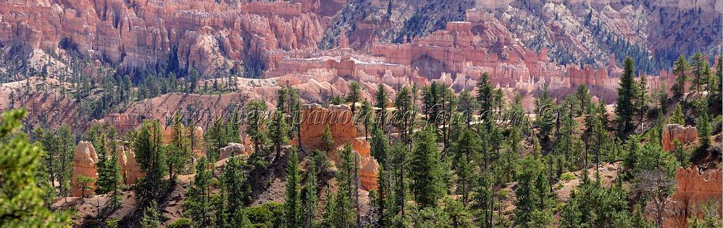 8964_11_10_2010_bryce_canyon_national_park_utah_sunrise_point_rim_trail_panoramic_landscape_outlook_viewpoint_photography_panorama_landschaft_70_11876x3741.jpg