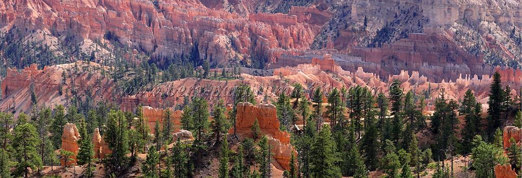 8966_11_10_2010_bryce_canyon_national_park_utah_sunrise_point_rim_trail_panoramic_landscape_outlook_viewpoint_photography_panorama_landschaft_72_11527x3936.jpg