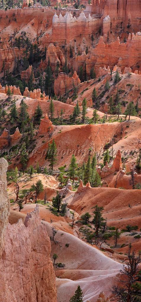 8974_11_10_2010_bryce_canyon_national_park_utah_sunrise_point_rim_trail_panoramic_landscape_outlook_viewpoint_photography_panorama_landschaft_80_4197x9010.jpg