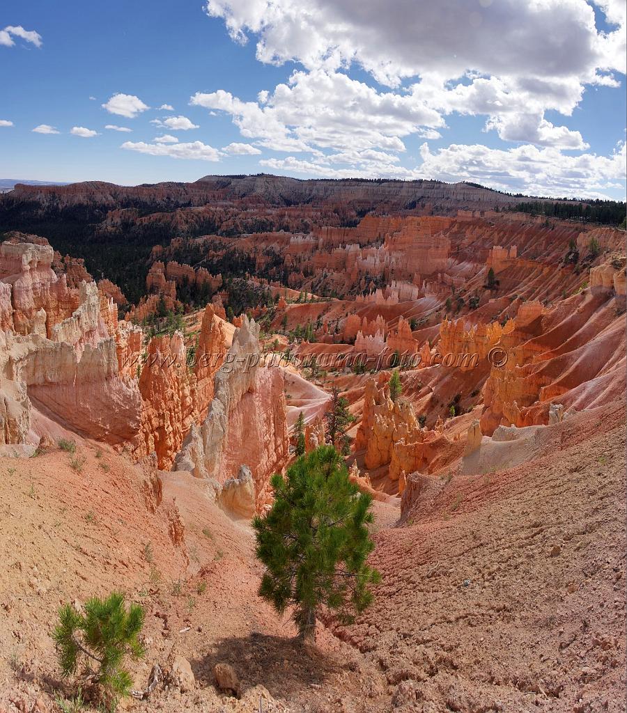 8975_11_10_2010_bryce_canyon_national_park_utah_sunrise_point_rim_trail_panoramic_landscape_outlook_viewpoint_photography_panorama_landschaft_81_6830x7763.jpg